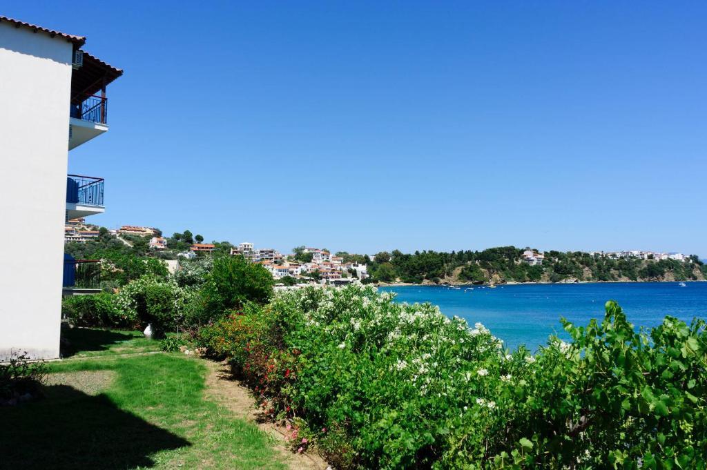 Aphrodite Skiathos Megali Ammos  Exterior foto