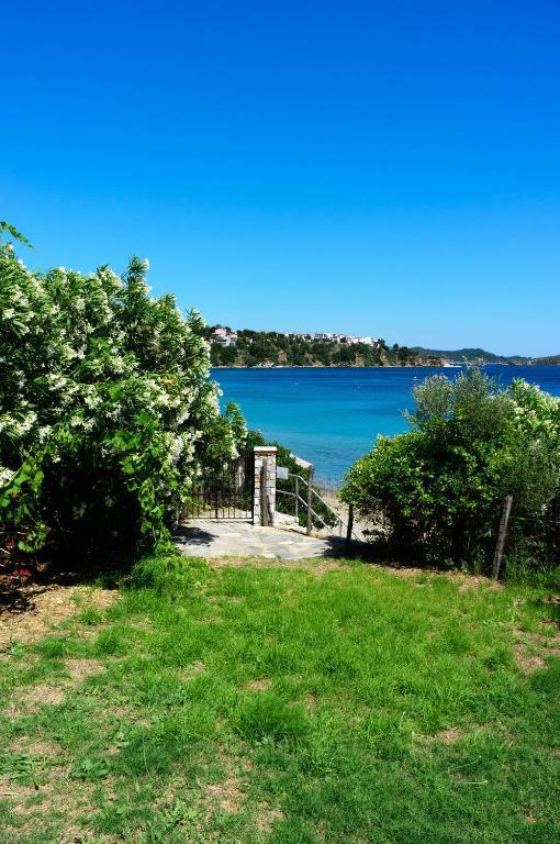 Aphrodite Skiathos Megali Ammos  Exterior foto