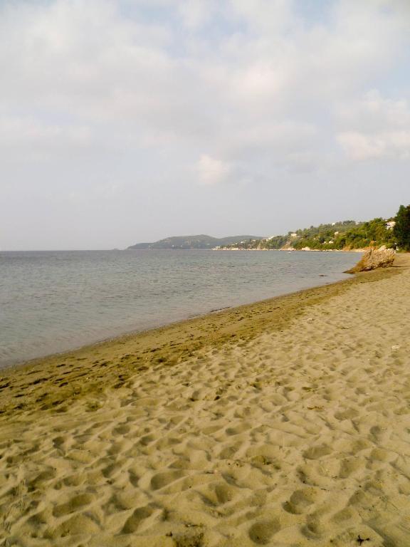 Aphrodite Skiathos Megali Ammos  Exterior foto