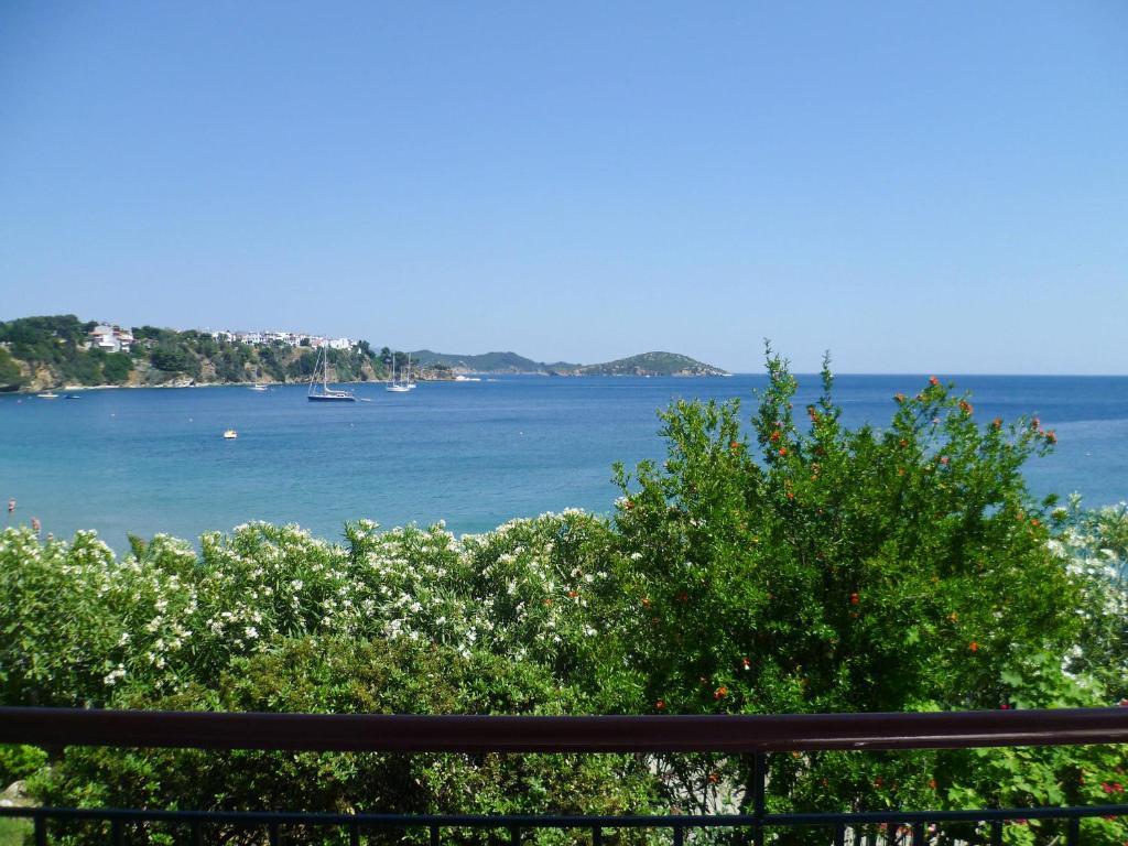 Aphrodite Skiathos Megali Ammos  Exterior foto